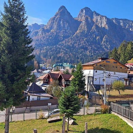Vila Panoramic Буштени Экстерьер фото