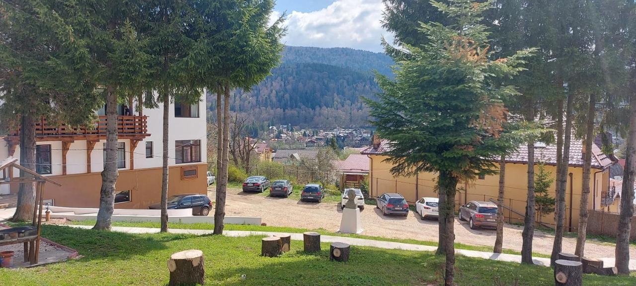 Vila Panoramic Буштени Экстерьер фото